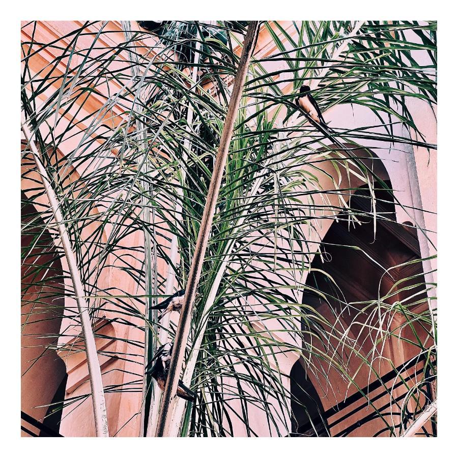 Palais Nejma Oriental Hotel มาร์ราเกช ภายนอก รูปภาพ
